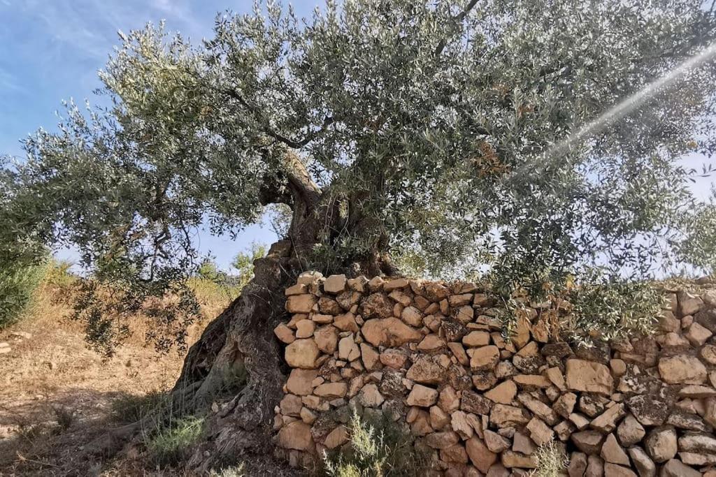 Casa Bretalunya Βίλα Benissanet Εξωτερικό φωτογραφία